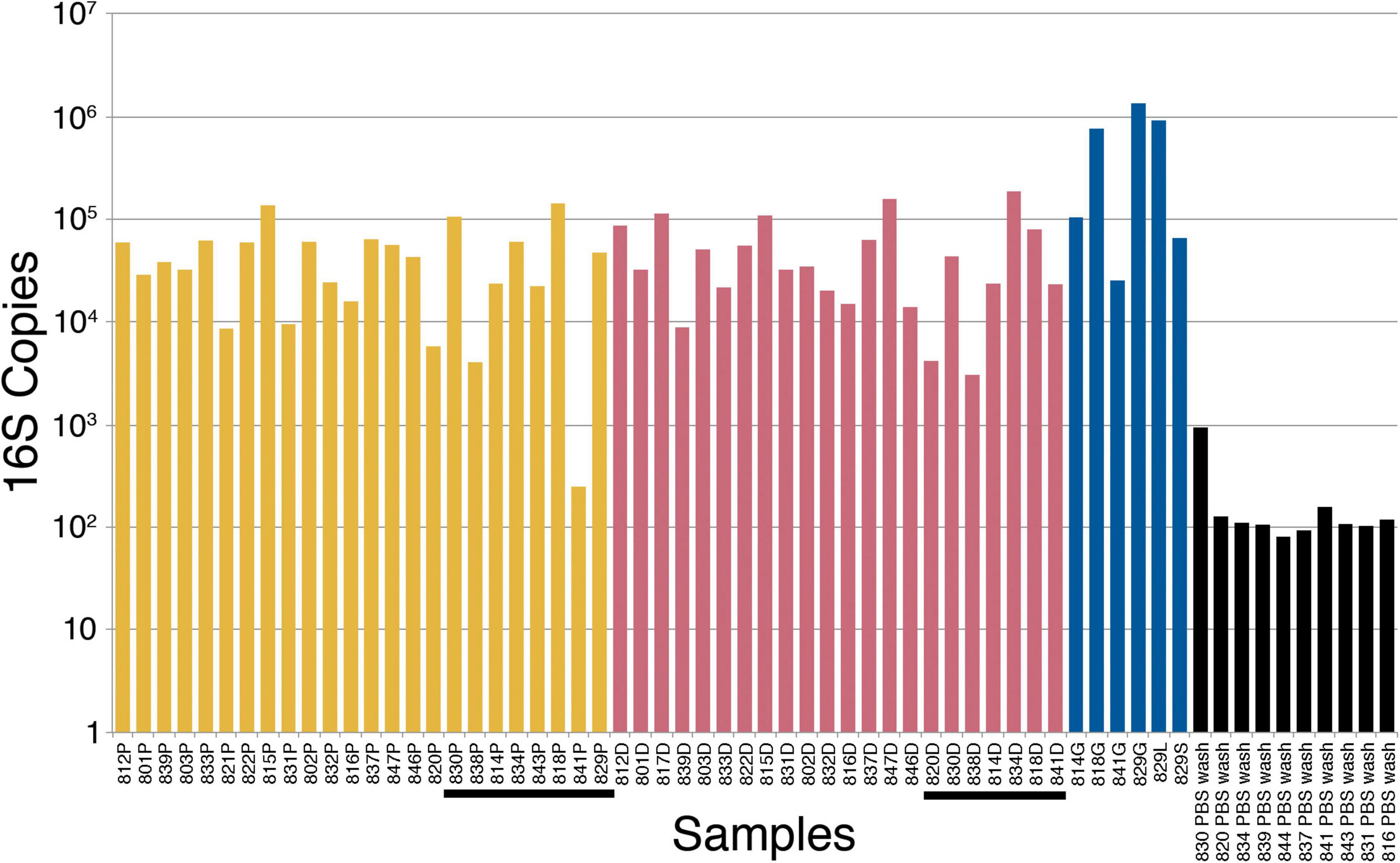 Assessment of the human placental microbiome in early pregnancy